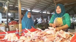ayam1.jpg