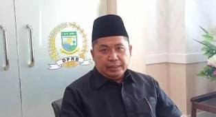 absor2.jpg