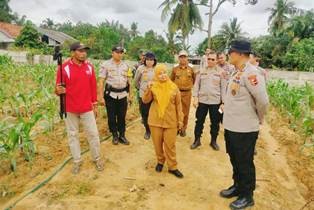 alin2.jpg