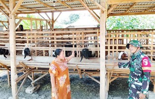 bojo071.jpg