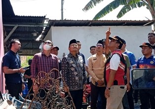 burung.jpg