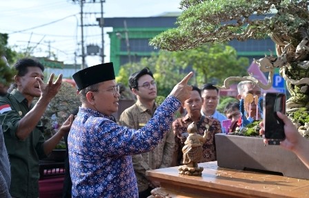 Hobi Bernilai Ekonomi, Walikota Jambi Dorong Anak Muda Tingkatkan Kecintaan Terhadap Bonsai